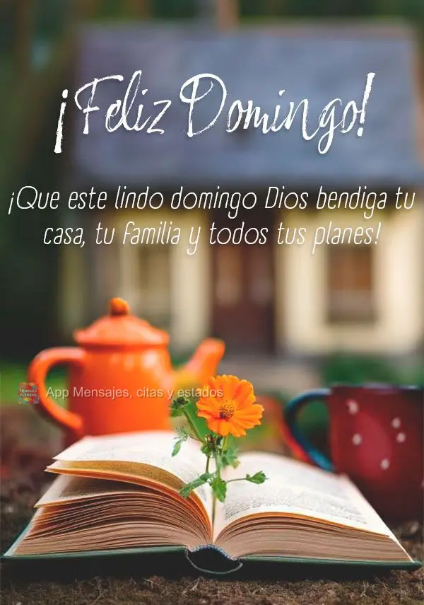 ¡Que este lindo domingo Dios bendiga tu casa, tu familia y todos tus planes! ¡Feliz Domingo!