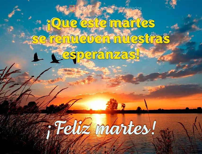 ¡Que este martes se renueven nuestras esperanzas! ¡Feliz martes!