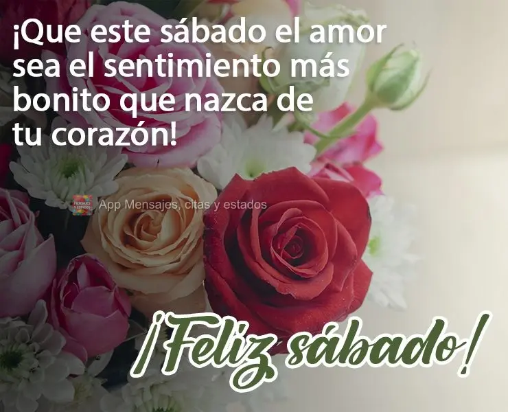 ¡Que este sábado el amor sea el sentimiento más bonito que nazca de tu corazón! ¡Feliz sábado!
