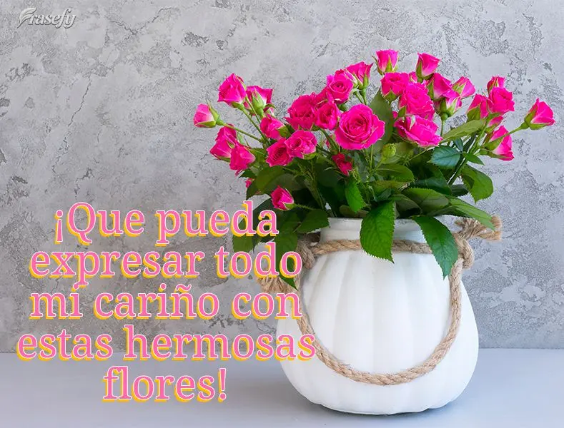 Que eu possa expressar todo meu carinho com essas lindas flores!