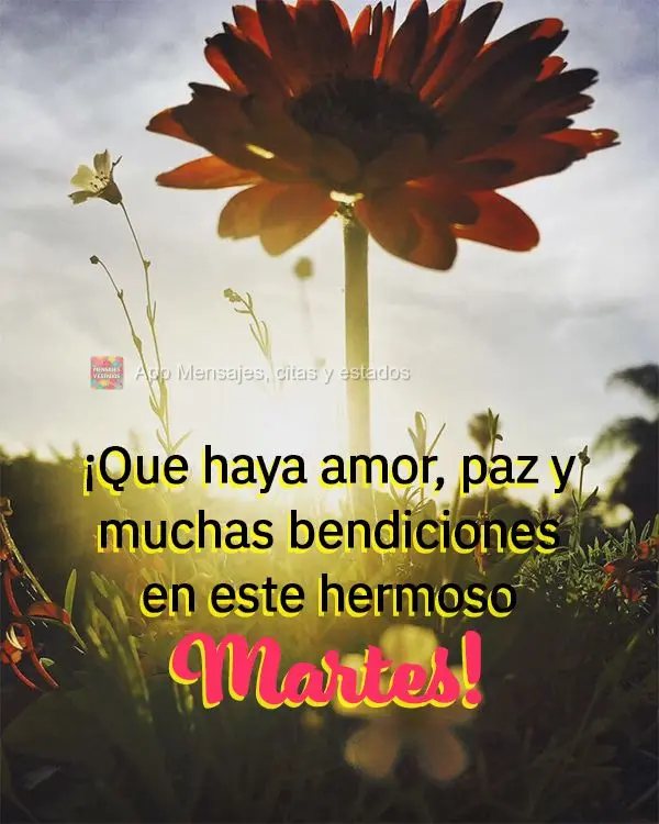 ¡Que haya amor, paz y muchas bendiciones en este hermoso martes!