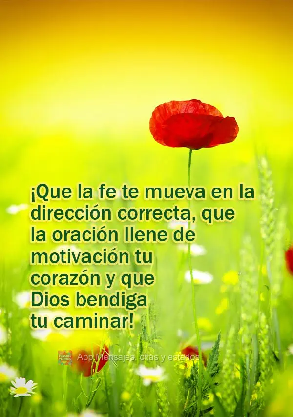 ¡Que la fe te mueva en la dirección correcta, que la oración llene de motivación tu corazón y que Dios bendiga tu caminar!