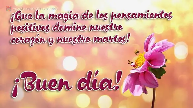 ¡Que la magia de los pensamientos positivos domine nuestro corazón y nuestro martes! ¡Buen día!