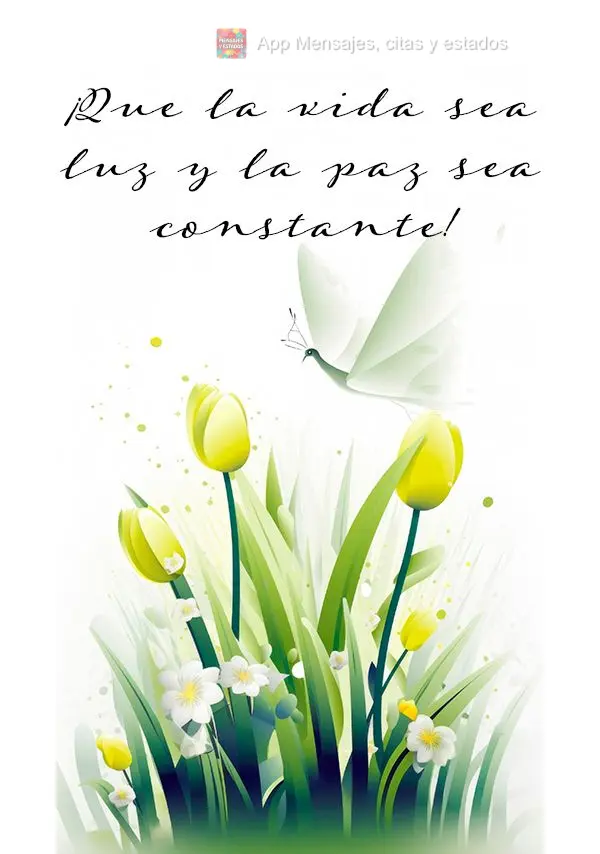 ¡Que la vida sea luz y la paz sea constante!