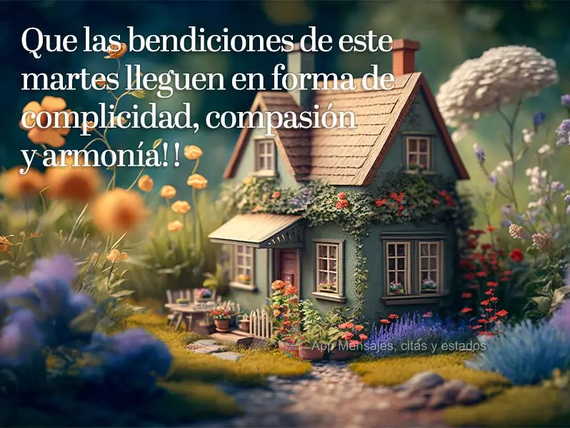 Que las bendiciones de este martes lleguen en forma de complicidad, compasión y armonía!!