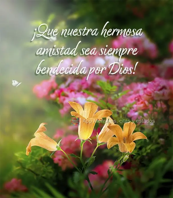 ¡Que nuestra hermosa amistad sea siempre bendecida por Dios!