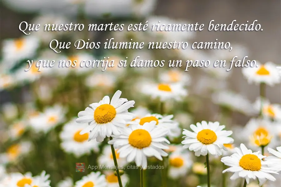 Que nuestro martes esté ricamente bendecido. Que Dios ilumine nuestro camino, y que nos corrija si damos un paso en falso.