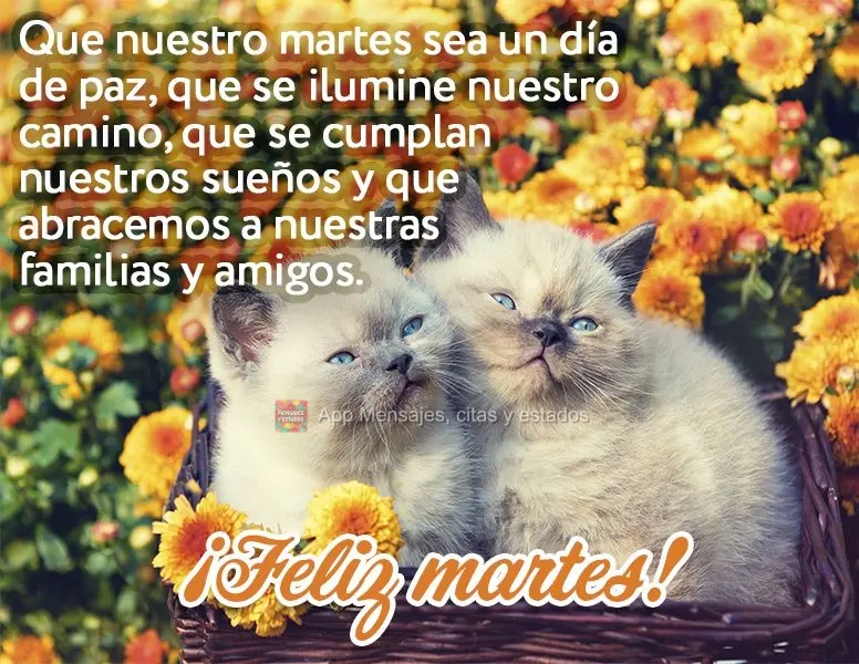 Que nuestro martes sea un día de paz, que se ilumine nuestro camino, que se cumplan nuestros sueños y que abracemos a nuestras familias y amigos. ¡Fel...