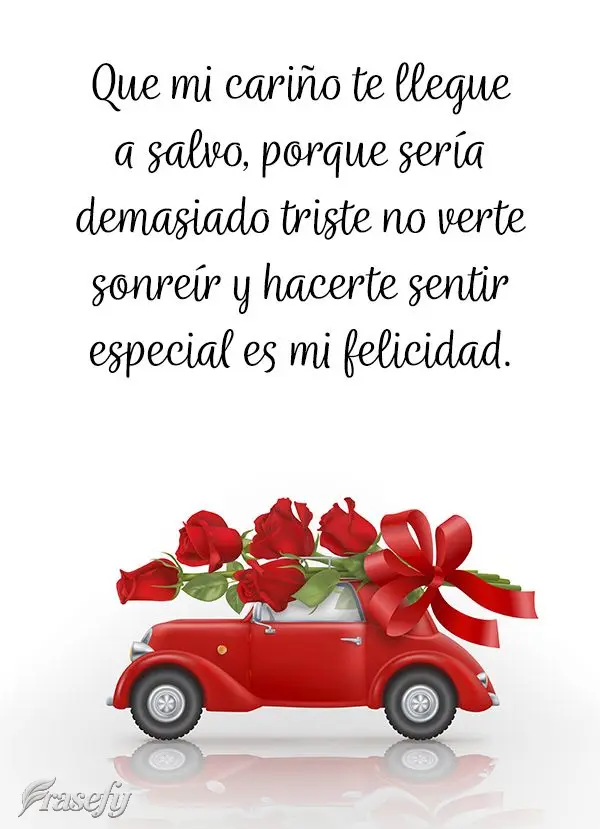 Que o meu carinho chegue até você em segurança, porque seria triste demais não poder ver você sorrir, e te fazer sentir especial é a minha felicida...