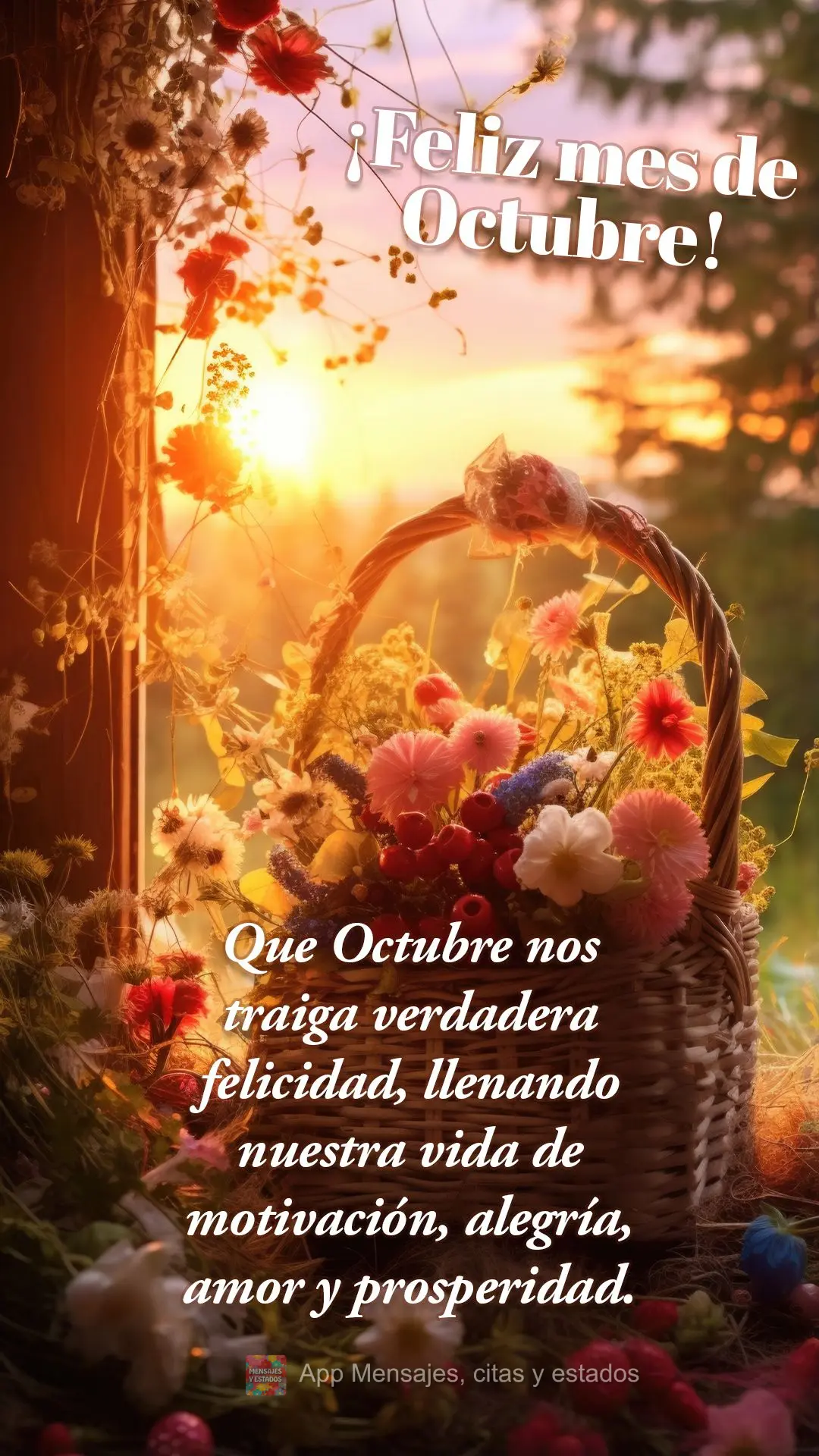 Que Octubre nos traiga verdadera felicidad, llenando nuestra vida de motivación, alegría, amor y prosperidad. ¡Feliz mes de Octubre!