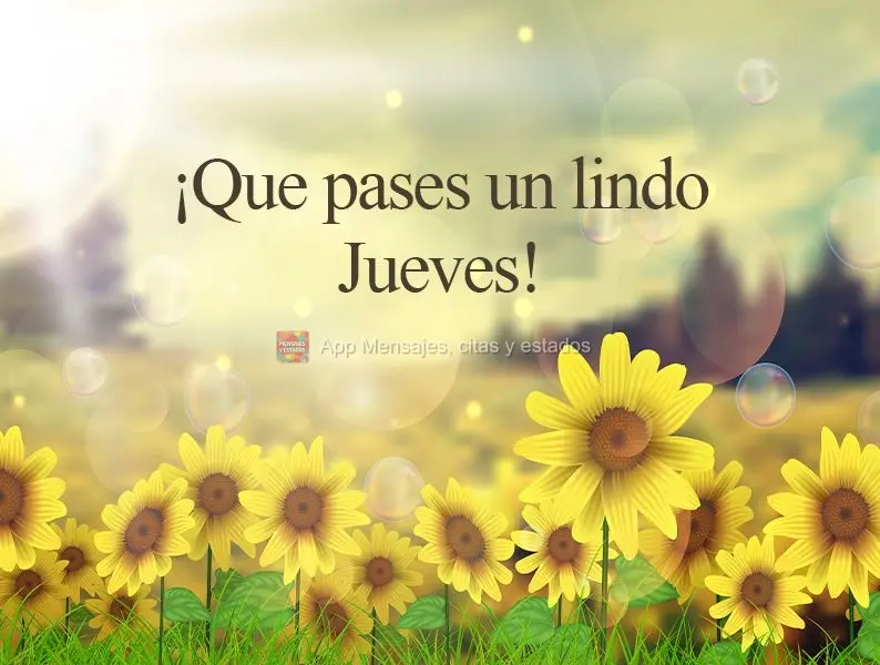 ¡Que pases un lindo jueves!