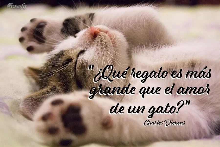 "¿Qué regalo es más grande que el amor de un gato?" Charles Dickens