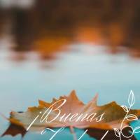 ¡Que reine las bendiciones en tu tarde porque Dios se está encargando de que permanezcas en paz! ¡Buenas tardes!