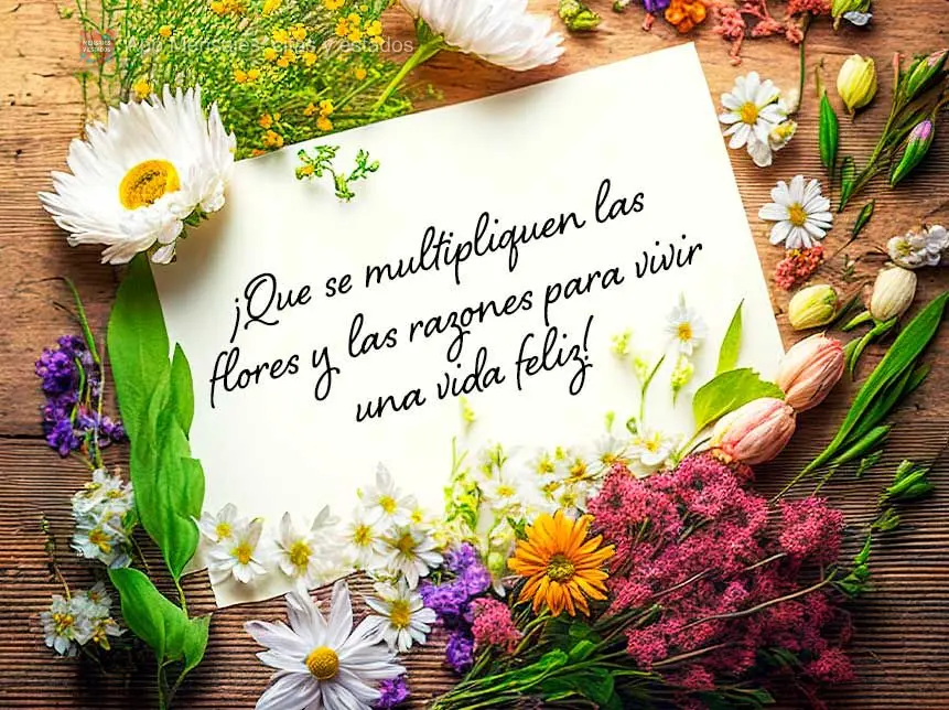 ¡Que se multipliquen las flores y las razones para vivir una vida feliz!