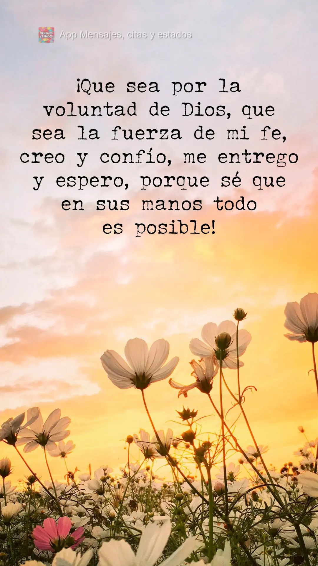 ¡Que sea por la voluntad de Dios, que sea la fuerza de mi fe, creo y confío, me entrego y espero, porque sé que en sus manos todo es posible!
