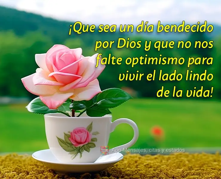 ¡Que sea un día bendecido por Dios y que no nos falte optimismo para vivir el lado lindo de la vida!