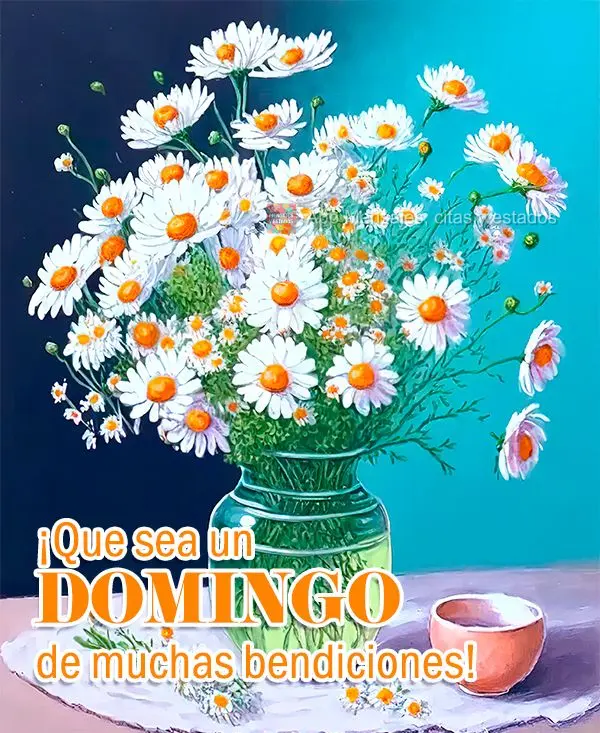 ¡Que sea un DOMINGO de muchas bendiciones!