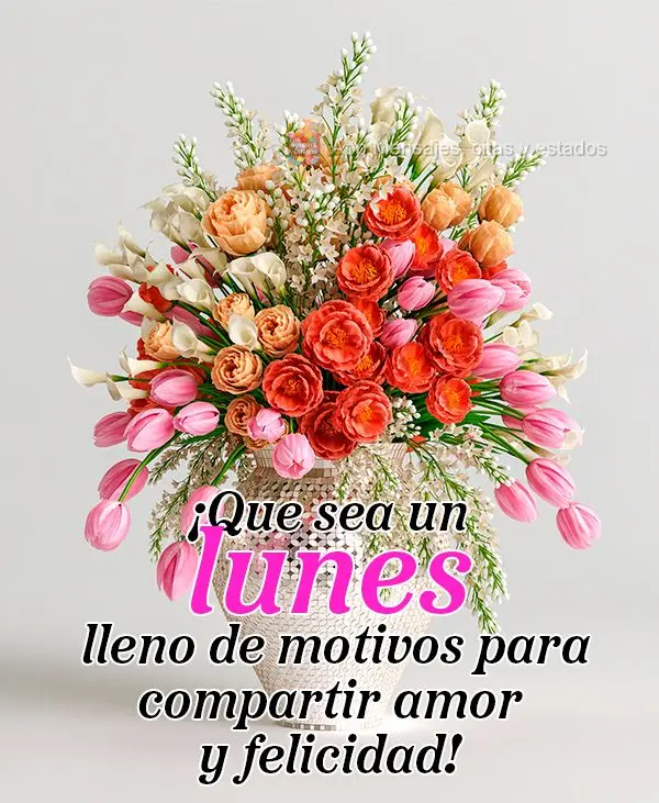 ¡Que sea un lunes lleno de motivos para compartir amor y felicidad!