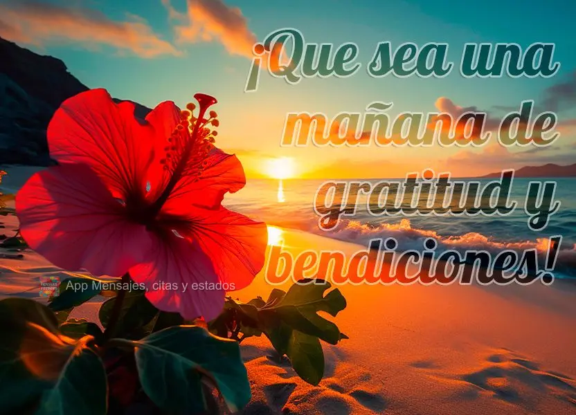 ¡Que sea una mañana de gratitud y bendiciones!