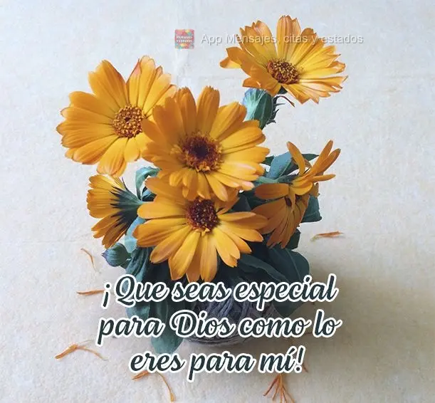 ¡Que seas especial para Dios como lo eres para mí!