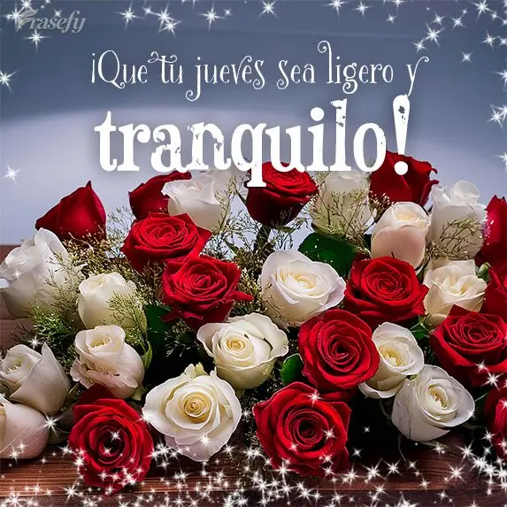 Que seja leve e tranquila sua Quinta-feira!