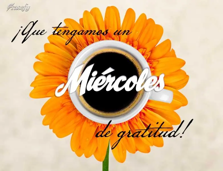 ¡Que tengamos un miércoles de gratitud!