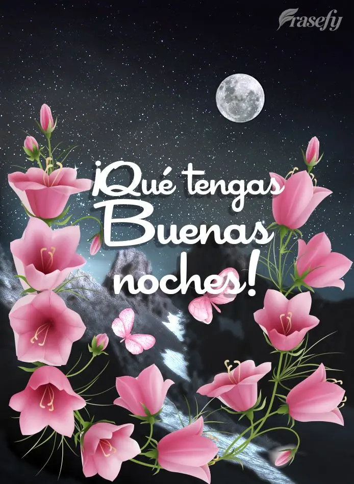 ¡Qué tengas buenas noches!