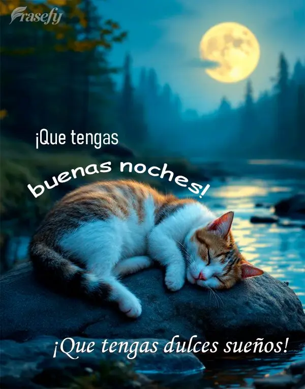 ¡Que tengas buenas noches! ¡Que tengas dulces sueños!