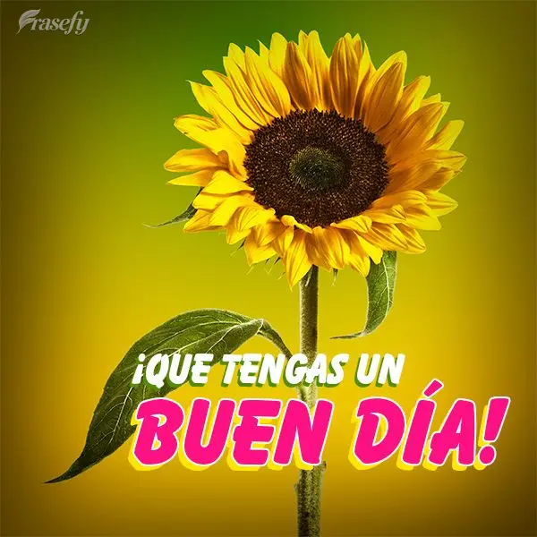 ¡Que tengas un buen día!