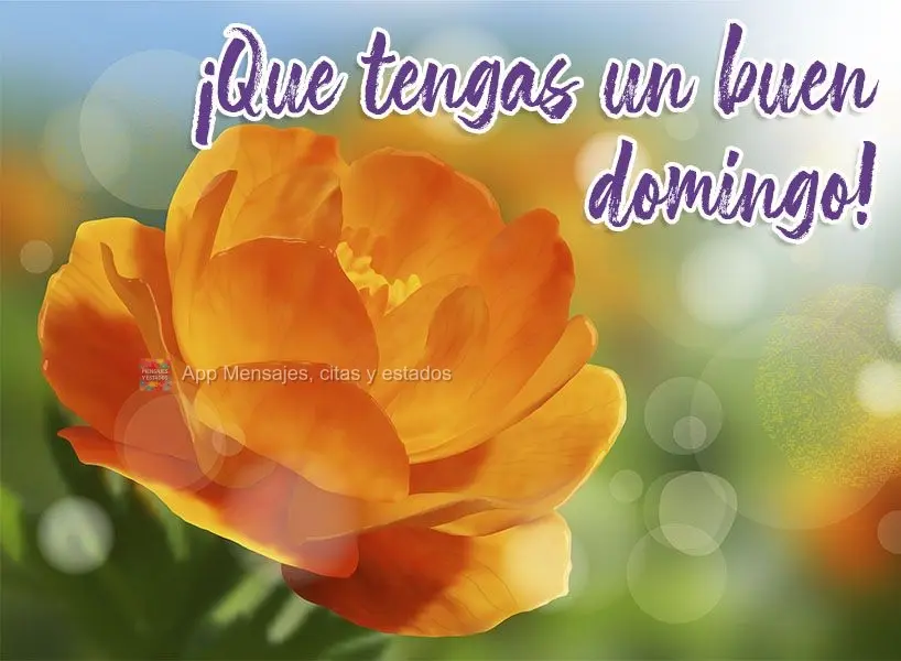 ¡Que tengas un buen domingo!