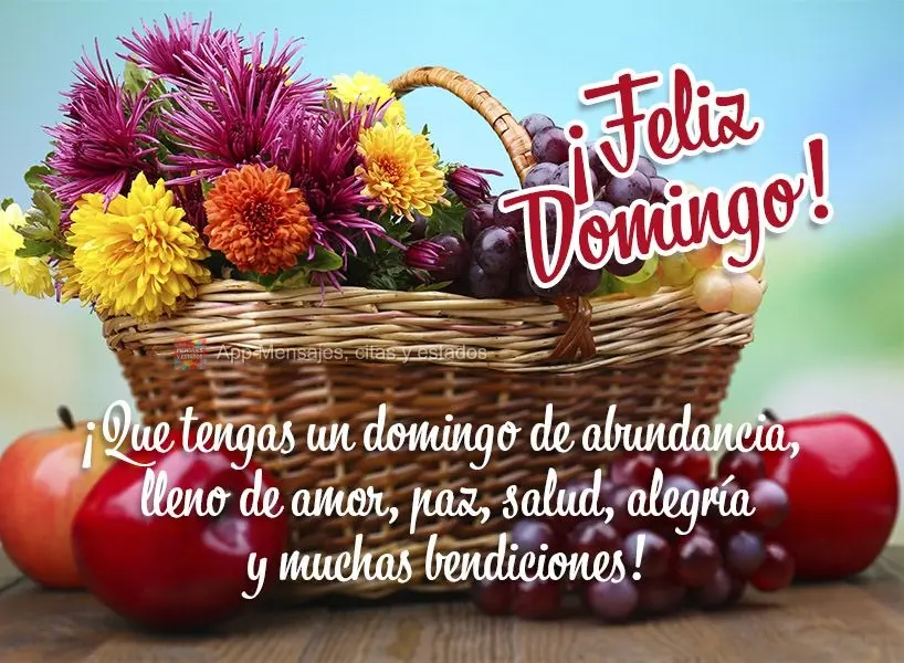 ¡Que tengas un domingo de abundancia, lleno de amor, paz, salud, alegría y muchas bendiciones! ¡Feliz Domingo!
