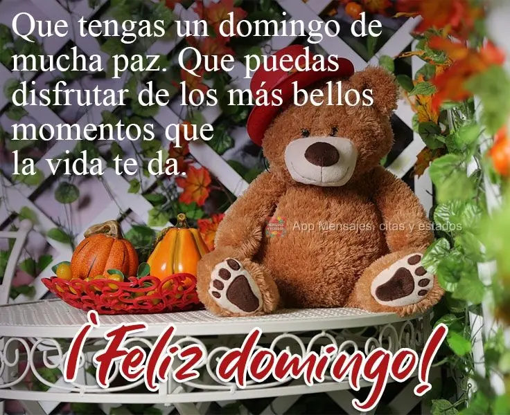 Que tengas un domingo de mucha paz. Que puedas disfrutar de los más bellos momentos que la vida te da. ¡Feliz domingo!