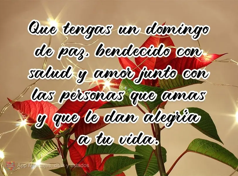Que tengas un domingo de paz, bendecido con salud y amor junto con las personas que amas y que le dan alegría a tu vida.