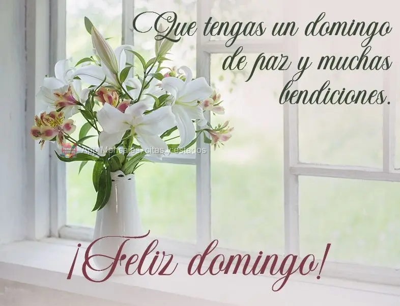 Que tengas un domingo de paz y muchas bendiciones. ¡Feliz domingo!