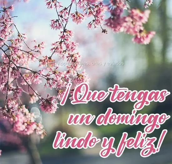¡Que tengas un domingo lindo y feliz!