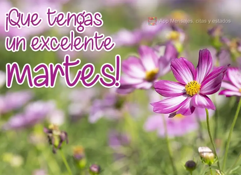 ¡Que tengas un excelente martes!