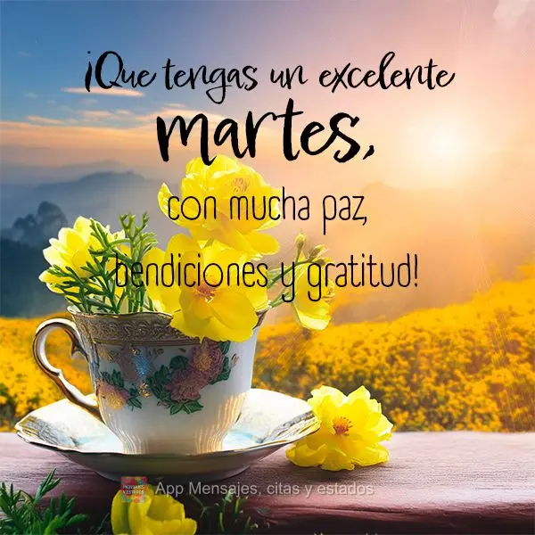 ¡Que tengas un excelente martes, con mucha paz, bendiciones y gratitud!