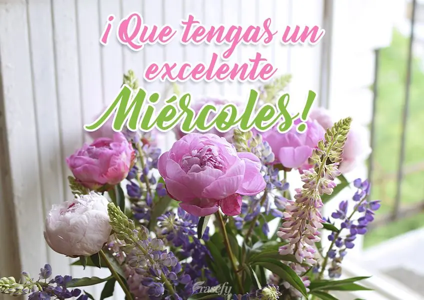 ¡Que tengas un excelente miércoles!