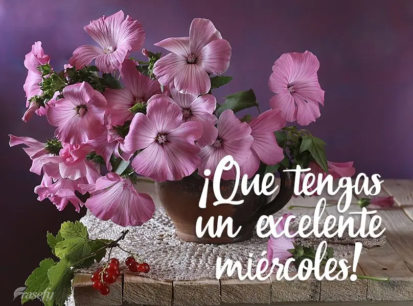 ¡Que tengas un excelente miercoles!