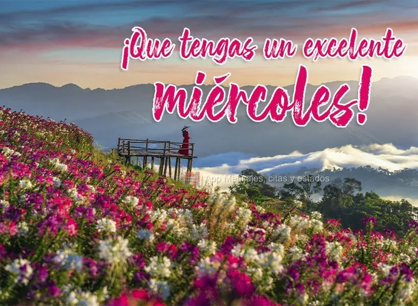 ¡Que tengas un excelente miércoles!