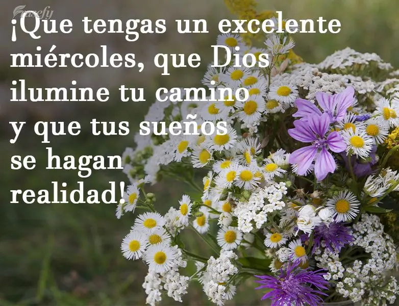 ¡Que tengas un excelente miércoles, que Dios ilumine tu camino y que tus sueños se hagan realidad!