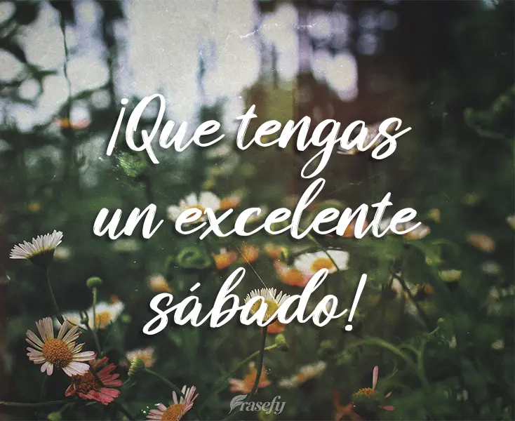 ¡Que tengas un excelente sábado!