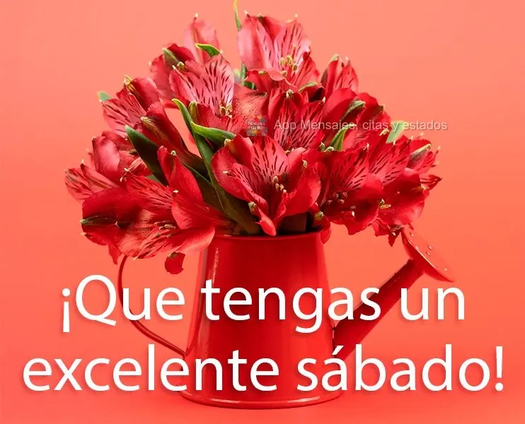 ¡Que tengas un excelente sábado!