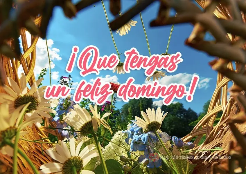 ¡Que tengas un feliz domingo!