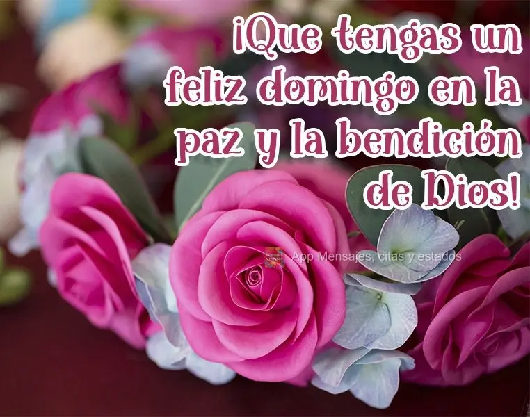 ¡Que tengas un feliz domingo en la paz y la bendición de Dios!