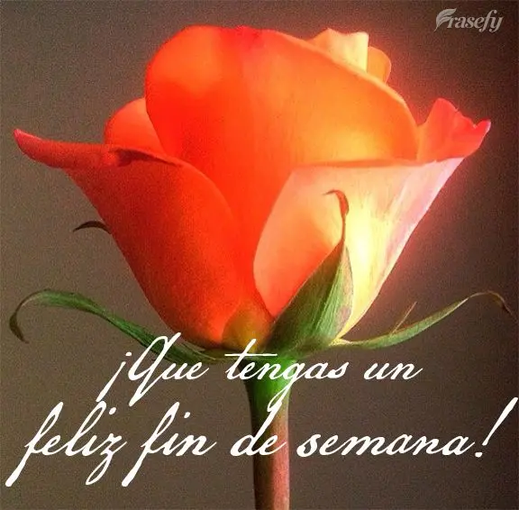 ¡Que tengas un feliz fin de semana!