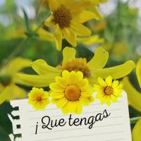 ¡Que tengas un feliz fin de semana!