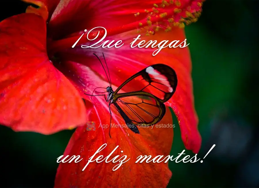 ¡Que tengas un feliz martes!