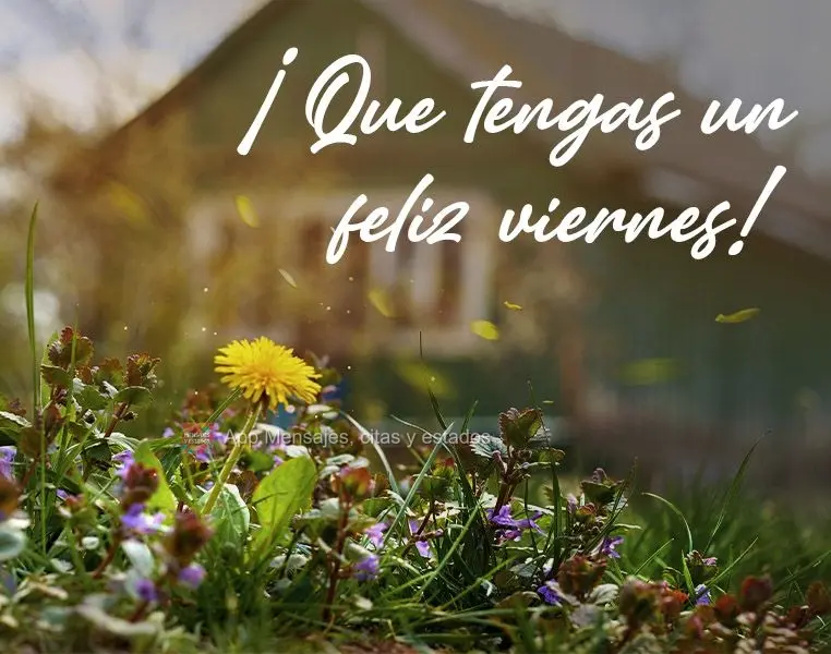 ¡Que tengas un feliz viernes!