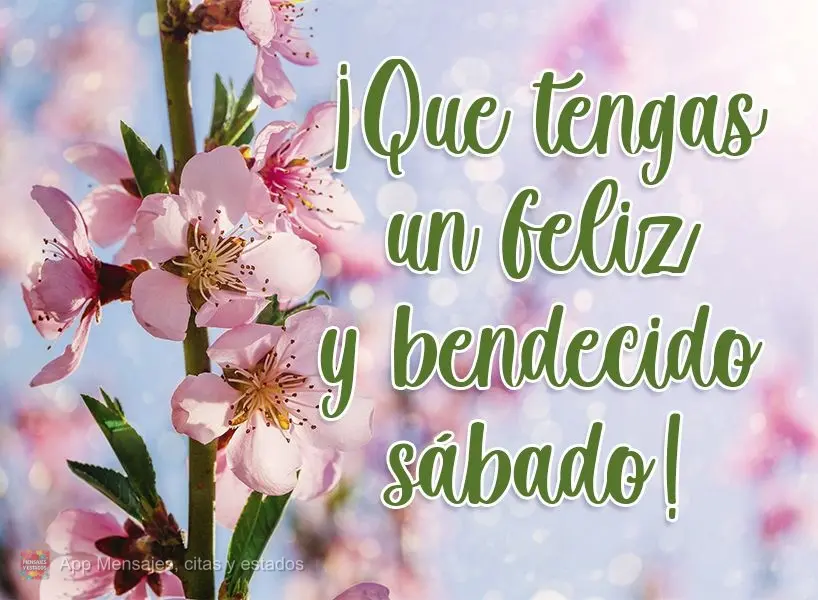 ¡Que tengas un feliz y bendecido sábado!